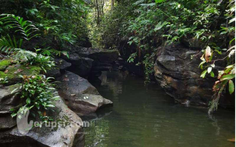 Taman Nasional Gunung Leuser