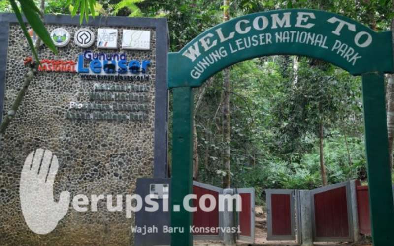 Taman Nasional Gunung Leuser