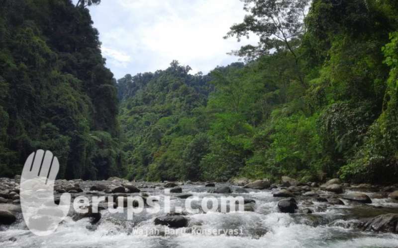 Taman Nasional Gunung Leuser