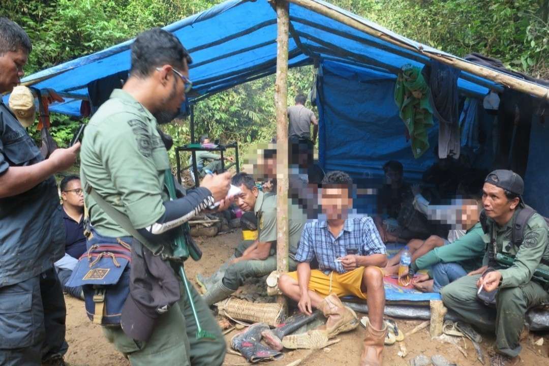 Taman Nasional Batang Gadis